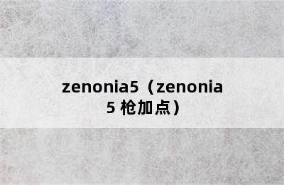 zenonia5（zenonia5 枪加点）